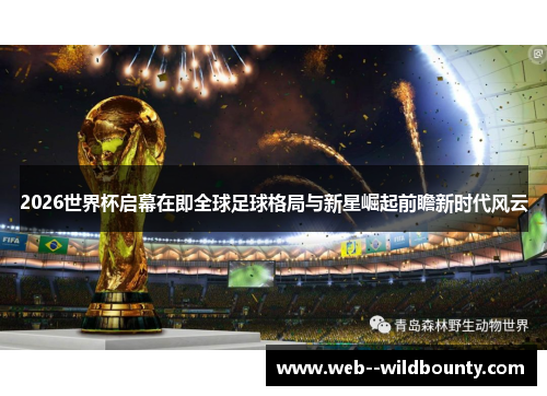 2026世界杯启幕在即全球足球格局与新星崛起前瞻新时代风云