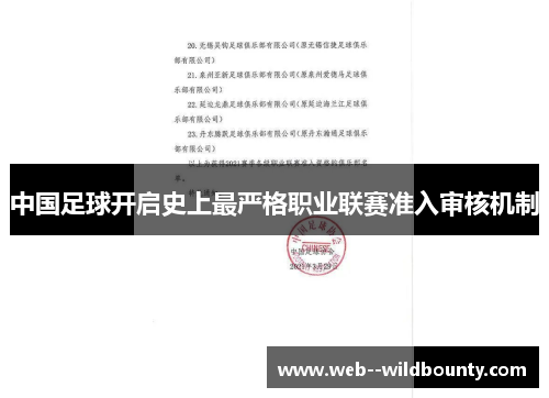 中国足球开启史上最严格职业联赛准入审核机制 中国足球开启史上最严格职业联赛准入审核机制