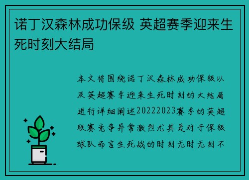 诺丁汉森林成功保级 英超赛季迎来生死时刻大结局 诺丁汉森林成功保级 英超赛季迎来生死时刻大结局